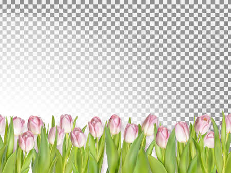 Spring seamless border background.のイラスト素材