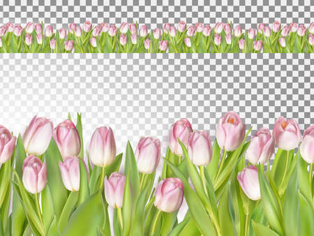 Spring seamless border background.のイラスト素材