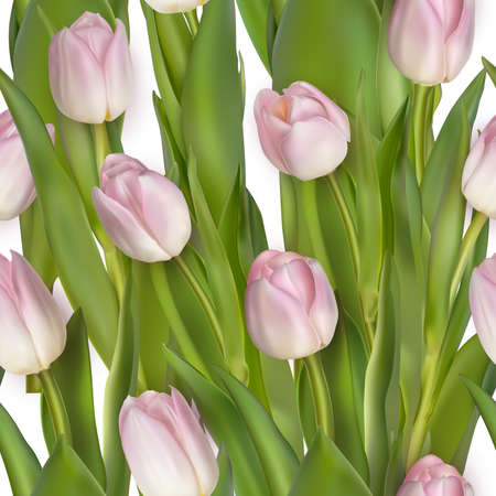 Seamless from pink tulips and green leaves isolated.のイラスト素材