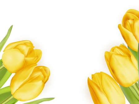 Holiday background with bouquet of yellow tulips. EPS 10 vector file includedのイラスト素材