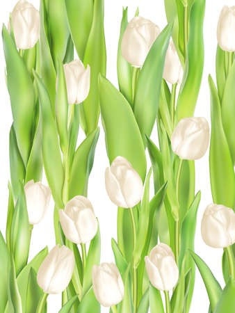 Tulips decorative background with copy space. EPS 10 vector file includedのイラスト素材