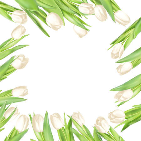 Isolated tulip frame arrangement, on a white background.のイラスト素材