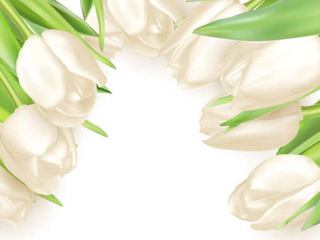 Isolated tulip frame arrangement, on a white background.のイラスト素材