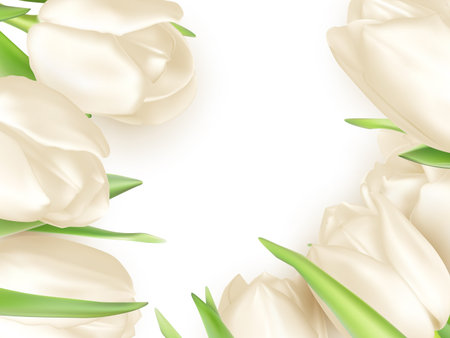 Isolated tulip frame arrangement, on a white background. EPS 10 vector file includedのイラスト素材