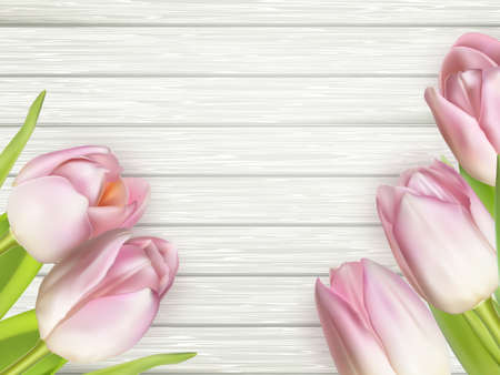 Pink tulips over white wood.  vector file includedのイラスト素材