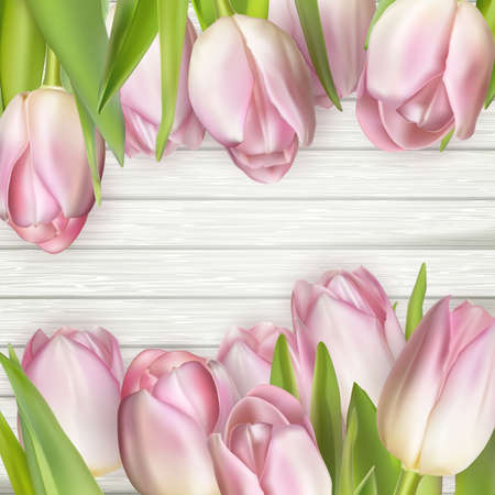 Beautiful pink tulips on wooden background. vector file includedのイラスト素材
