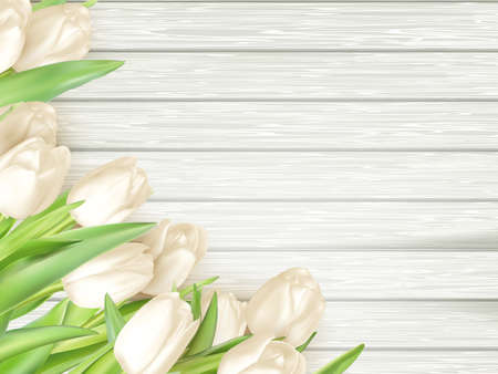 Bouquet of white tulips on a wooden background. vector file includedのイラスト素材