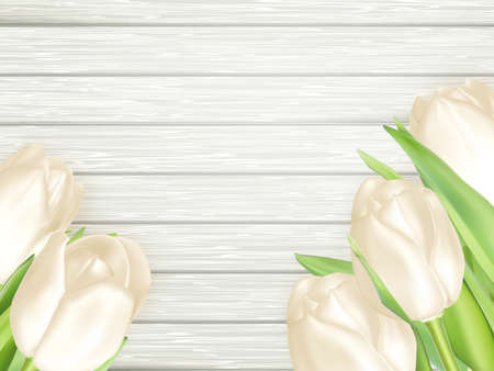 Bouquet of white tulips on wooden background. Top view. vector file includedのイラスト素材