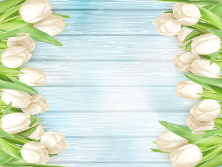 Tulip flower on turquoise painted wooden table background. Top view with copy space.  vector file includedのイラスト素材