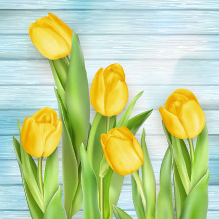 Fresh spring yellow tulips flowers on turquoise wooden planks. Selective focus. Place for text. EPS 10 vector file includedのイラスト素材