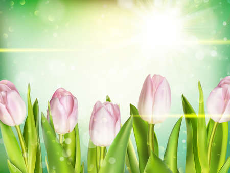 Bunch of fresh pink tulips close up over green bokeh background. EPS 10 vector file includedのイラスト素材