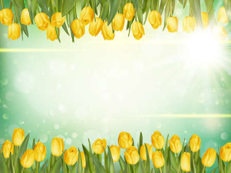Beautiful tulips on green bokeh background.のイラスト素材