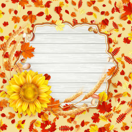 Autumn leaves background.のイラスト素材