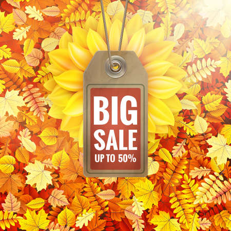 Sunflower on autumn foliage with sale tag.のイラスト素材