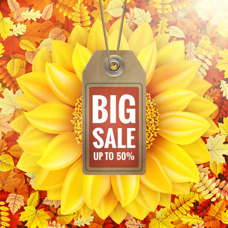Sunflower on autumn foliage with sale tag.のイラスト素材