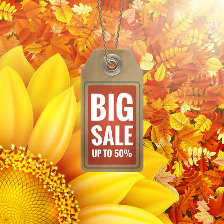 Sunflower on autumn foliage with sale tag.のイラスト素材