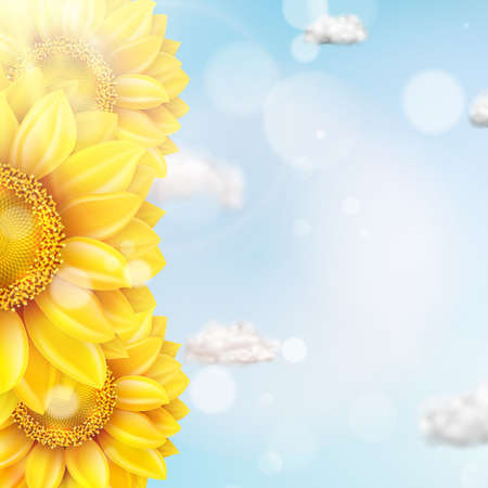 Sunflower with blue sky - autumn.のイラスト素材