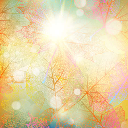 Beautiful autumn background with sun.のイラスト素材