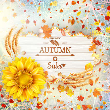 Background on a theme of autumn. Sale.のイラスト素材