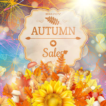 Background on a theme of autumn. Saleのイラスト素材