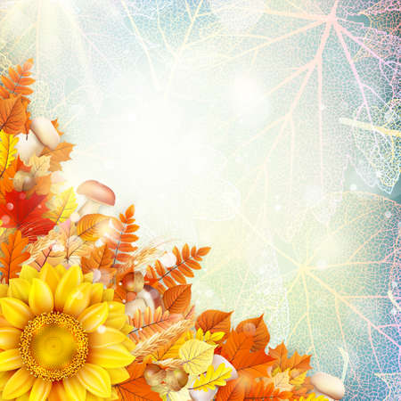 Background on a theme of autumn. EPS 10 vector file includedのイラスト素材