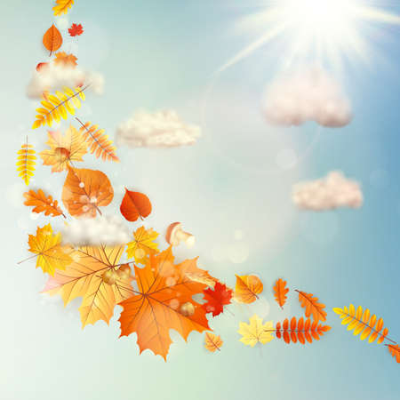 Background on a theme of autumn. EPS 10 vector file includedのイラスト素材
