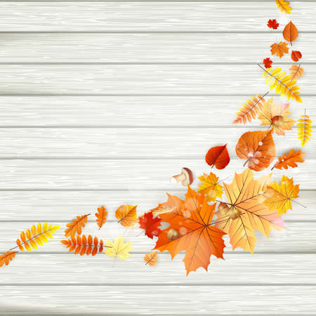 Background on a theme of autumn. EPS 10 vector file includedのイラスト素材