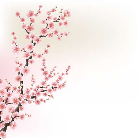 Blooming Cherry Blossom Branches card. EPS 10のイラスト素材