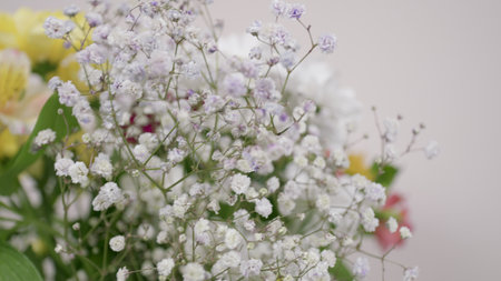 Delicate White Flowers Gracefully Displayed Against a Colorful Background For Visual Delightの写真素材