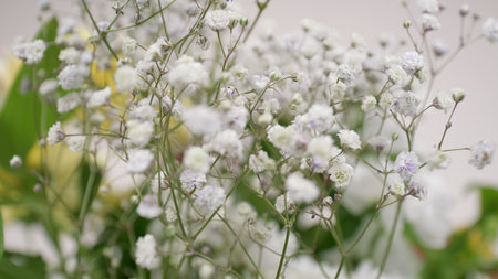 Delicate White Babys Breath Flowers Beautifully Captured in a Stunning Soft Focus Settingの写真素材
