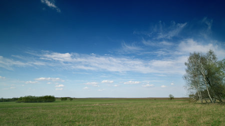 A Serene Countryside Landscape Under a Bright and Clear Sky Filled with White Cloudsの写真素材