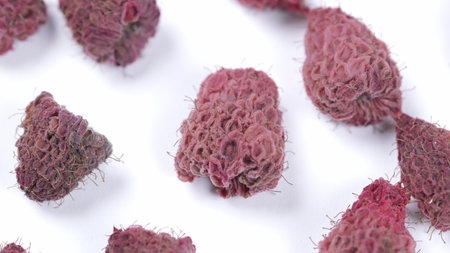 A closeup view of the unique and textured maroon structures formed by various plant species