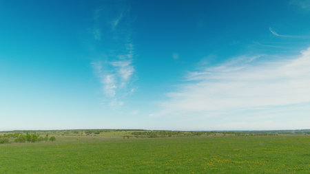 Vast, Open Green Fields Spread Out Under a Beautifully Clear, Expansive Blue Sky Aboveの写真素材