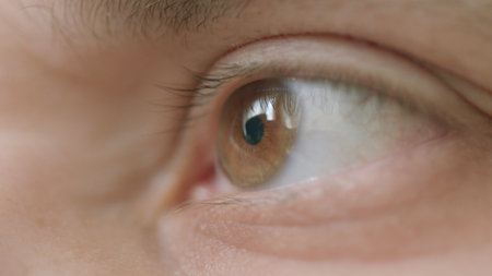 A closeup of a human eye in natural light, revealing intricate details and vibrant colorsの写真素材