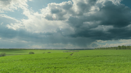 Dramatic and Beautiful Cloudy Sky Over the Lush Green Fields of Agriculture and Nature Time lapse.の写真素材