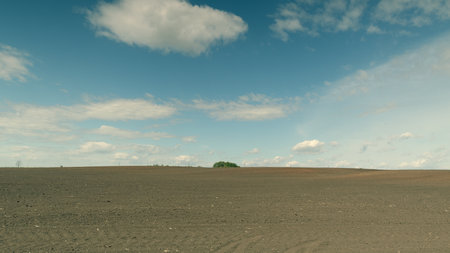 A Serene and Picturesque Agricultural Landscape Beneath a Vast and Expansive Skyの写真素材