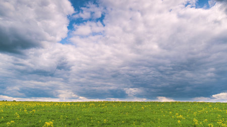 A Stunning Captivating Landscape Featuring a Cloudy Sky with Vibrant Yellow Flowers Time lapse.