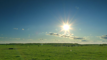 A Vibrant Green Landscape Bathed in Bright Sunlight Creating a Stunningly Beautiful Sceneの写真素材