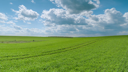Expansive and Vast Green Fields Spreading Under a Brilliant Blue Sky Filled with Fluffy Clouds Time lapse.の写真素材