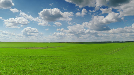 Expansive Green Fields Continue Stretching Out Beneath a Beautiful, Cloudy Sky Above Them Time lapse.の写真素材