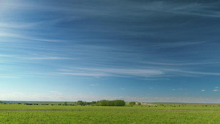 Expansive Vast Green Fields Stretching Under a Brilliant Blue Sky with Gentle, Fluffy Clouds Time lapse.の写真素材