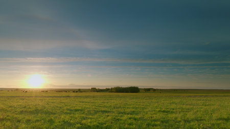 A Stunning and Beautiful Sunset Over Vibrant Lush Green Fields of Nature and Flora Time lapse.の写真素材