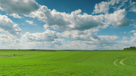Lush Green Fields Stretching Beneath a Vast, Expansive Blue Sky in All Its Glory Time lapse.の写真素材