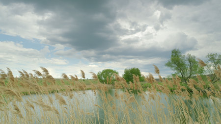 A Beautifully Serene and Picturesque Waterscape Nestled Underneath a Dramatic, Cloudy Evening Skyの写真素材