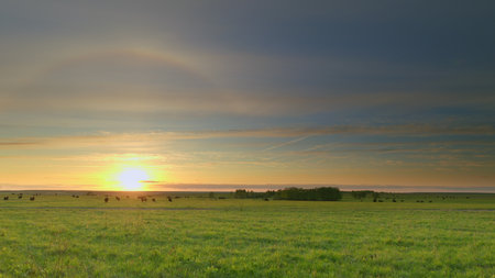 A Serene Sunrise Over a Lush and Green Pasture, Bringing a Sense of Calm and Beauty Time lapse.の写真素材