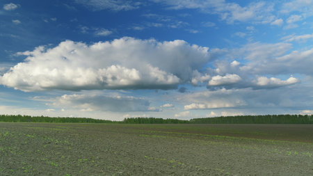 A Serene Agricultural Landscape With a Lush Field Beneath a Beautiful Cloudy Sky Time lapse.の写真素材