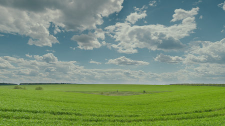 An Expansive and Lush Green Landscape Stretching Beneath a Beautiful, Cloudy Sky Above Time lapse.の写真素材