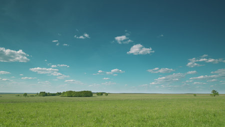 A Vast Green Field Spreading Out Under a Bright, Clear Blue Sky with Fluffy White Cloudsの写真素材