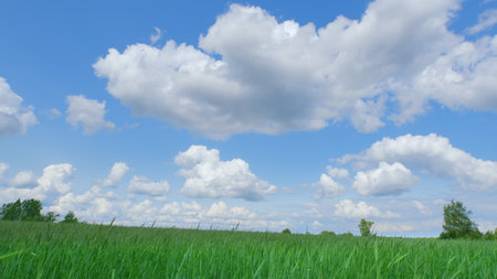 A Serene and Tranquil Green Field Spread Under a Beautiful and Bright Blue Sky on a Perfect Dayの写真素材