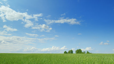 A Beautiful, Expansive Green Field Beneath a Bright Blue Sky Adorned with Fluffy Cloudsの写真素材